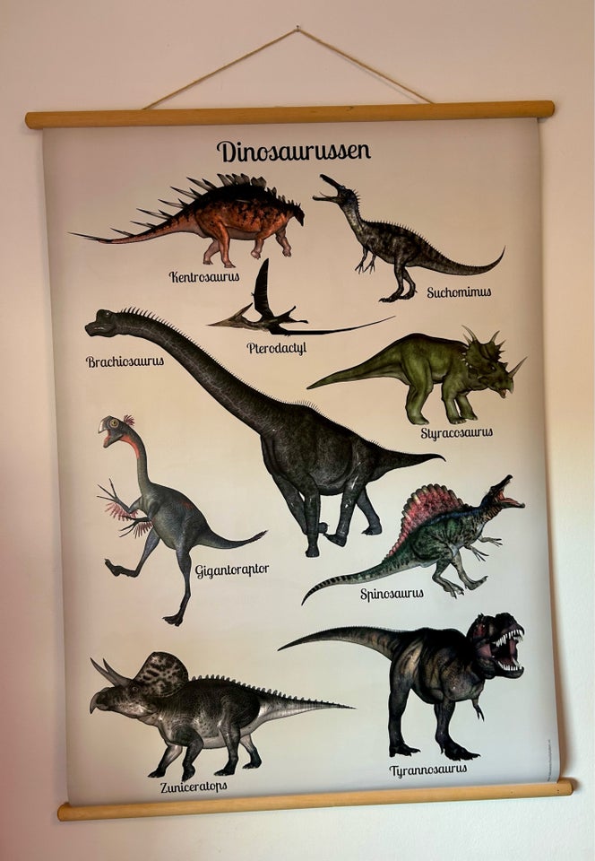 Billede, Dinosaurus plakat