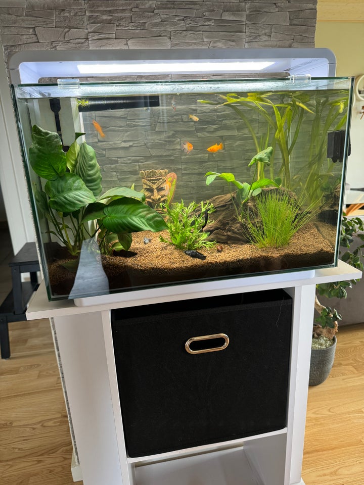 Akvarium 60 liter