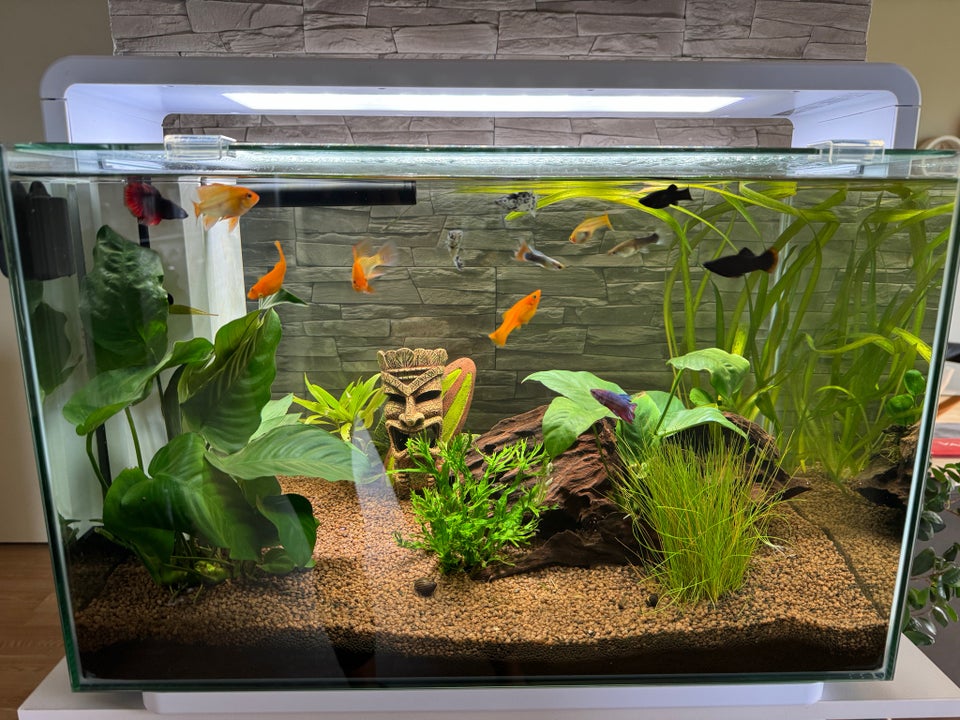 Akvarium 60 liter