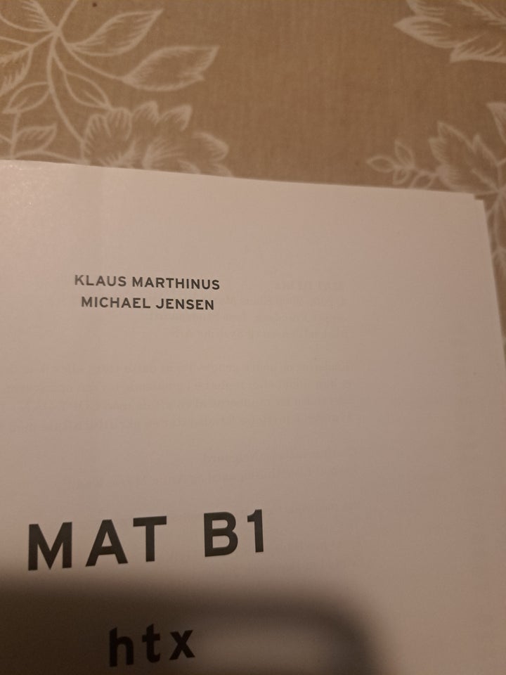 MAT B1, Klaus Msrthinus og Michael