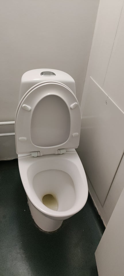 Toilet, Ifø