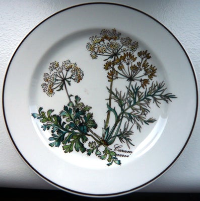 Porcelæn Botanica Villeroy