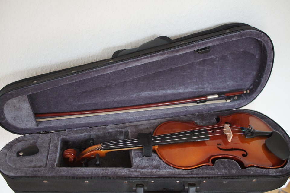 Violin 1/2, Stagg