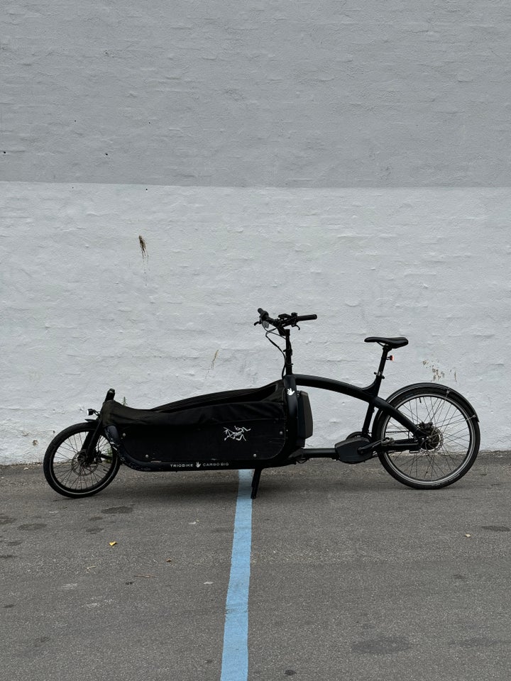 Triobike cargo big 7 gear