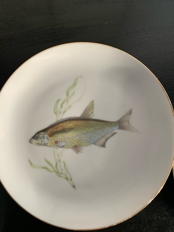 Porcelæn Frokosttallerkener