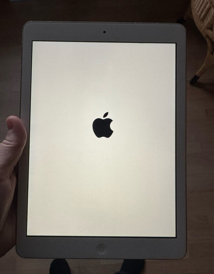 iPad Air