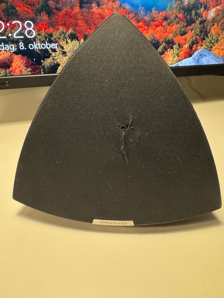 Højttaler, Bang  Olufsen, BeoLab 4