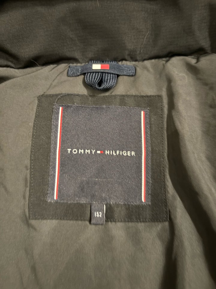 Jakke, Dun, Tommy Hilfiger