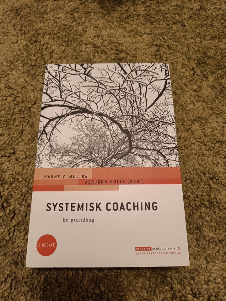 Systemisk coaching, Hanne V.