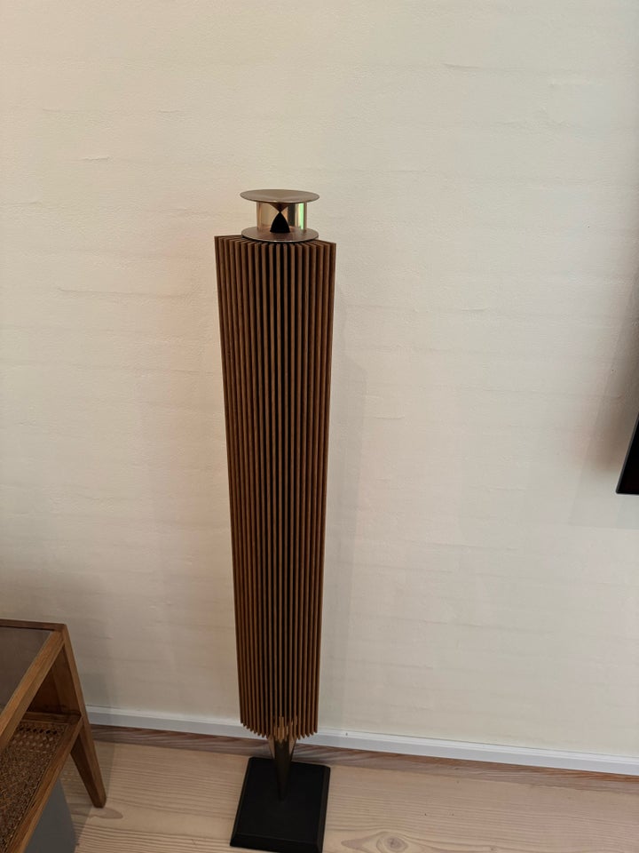 Højttaler, Bang  Olufsen, Beolab