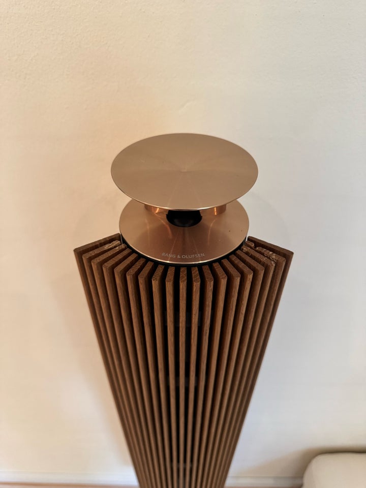 Højttaler, Bang  Olufsen, Beolab