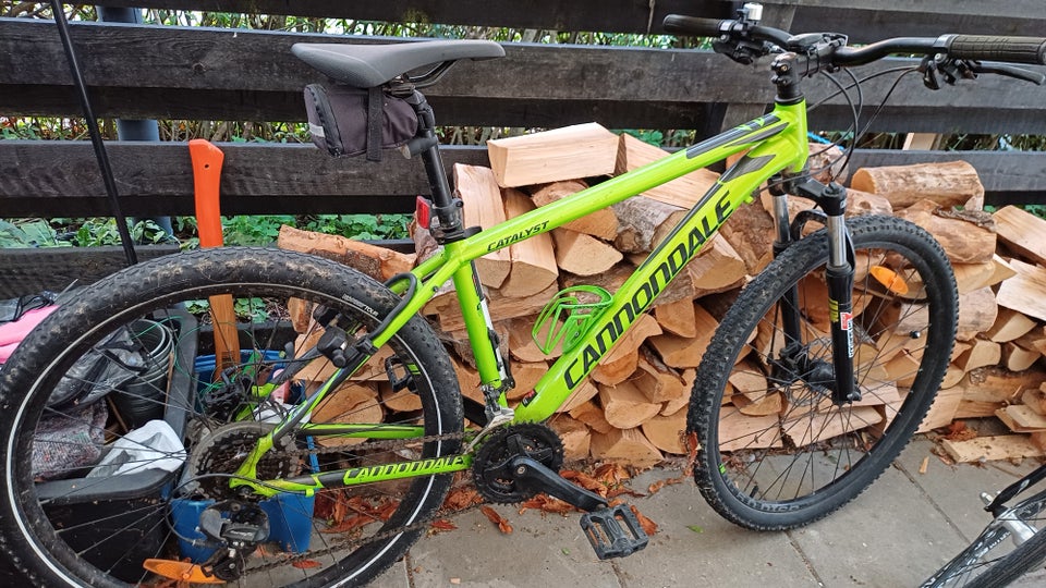 Cannondale Catalyst 4, anden