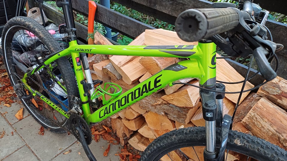 Cannondale Catalyst 4, anden