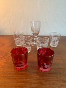 Glas Snazpseglas med