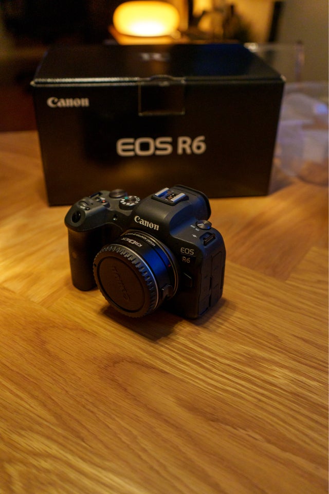 Canon, EOS R6, 20.1 megapixels