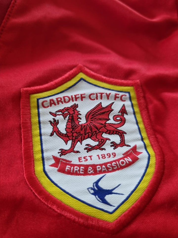 Fodboldtrøje, Cardiff 2013/2014,