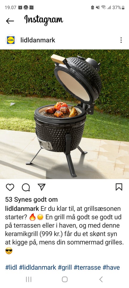 Anden grill Lidl grillmeister