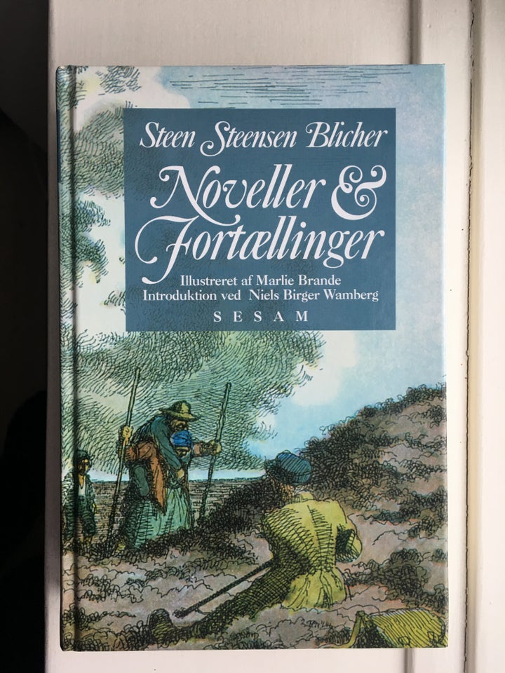 Noveller og fortællinger, Steen