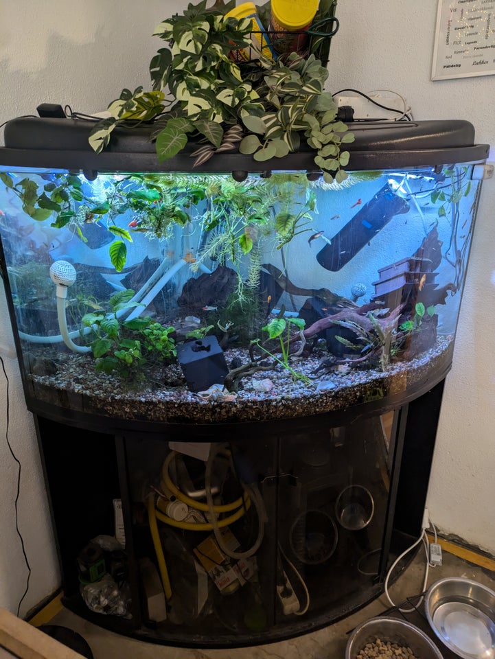 Akvarium, 350 liter