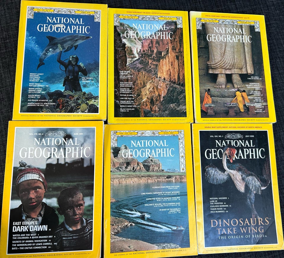 National Geographic, Blad