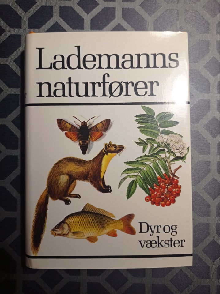 Lademanns naturfører Dyr og