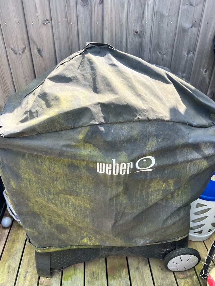 Gasgrill Weber Q3200