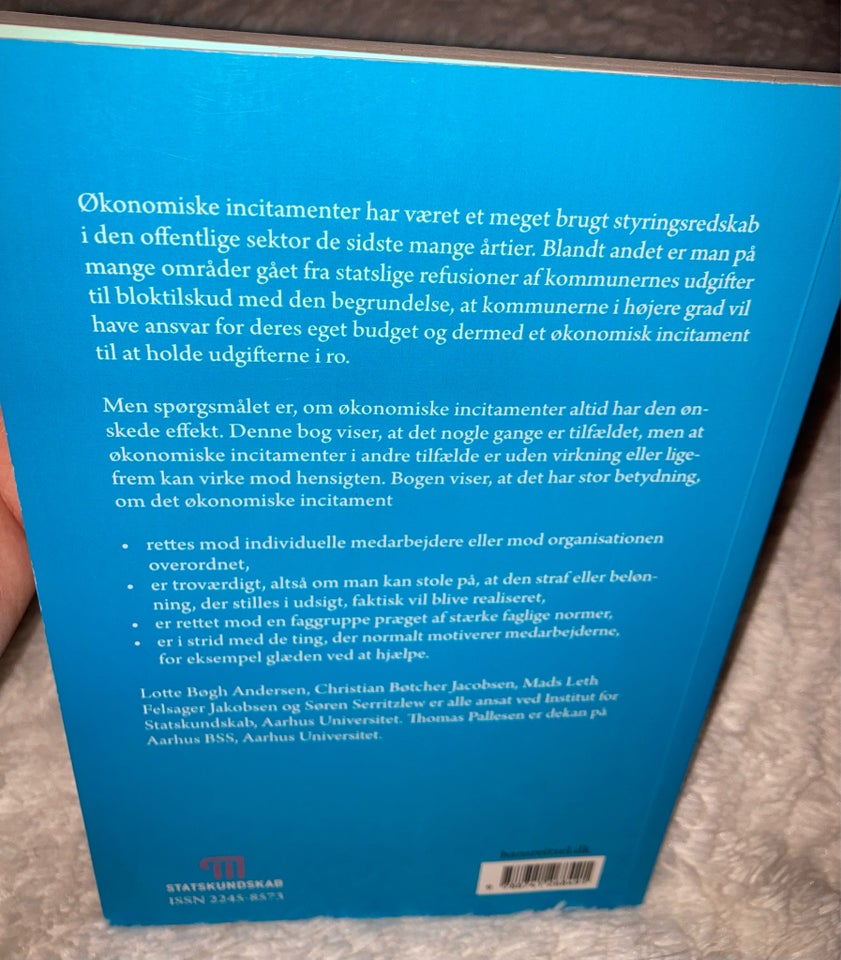 Økonomiske incitamenter i den