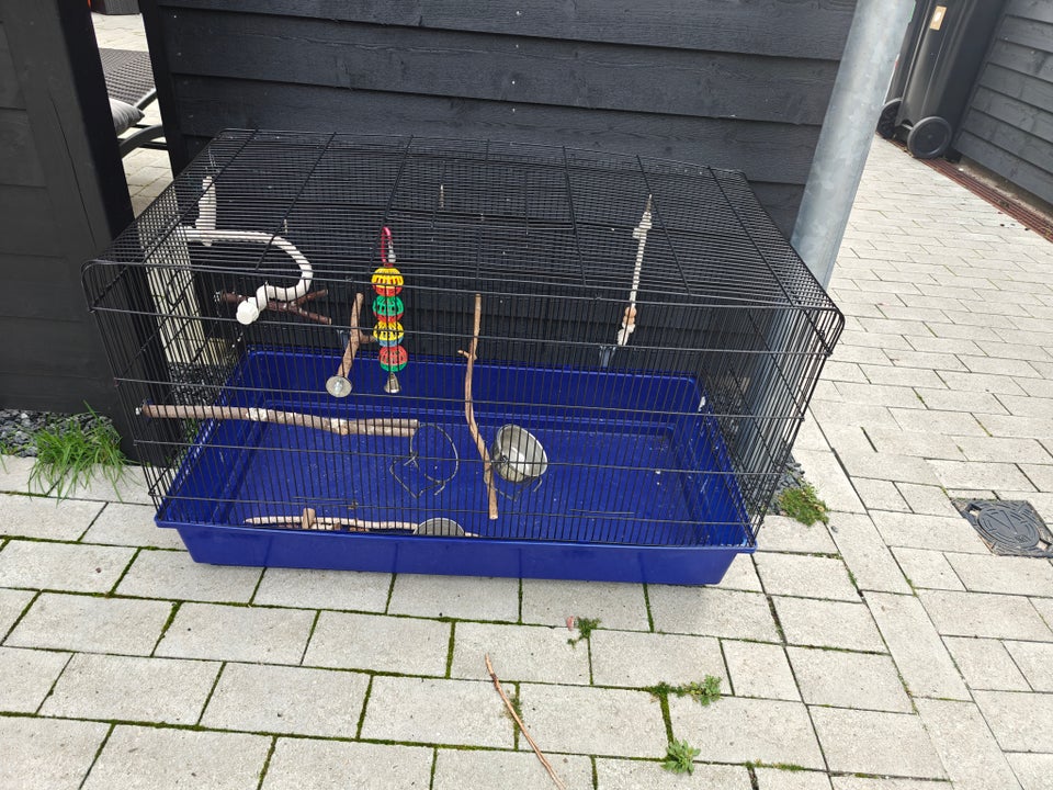 Bird cage for sale, Stort fuglebur