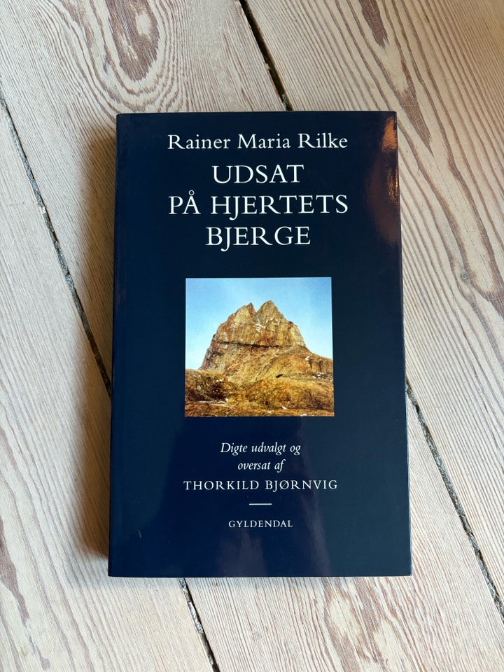 Udsat på hjertets bjerge, Rainer