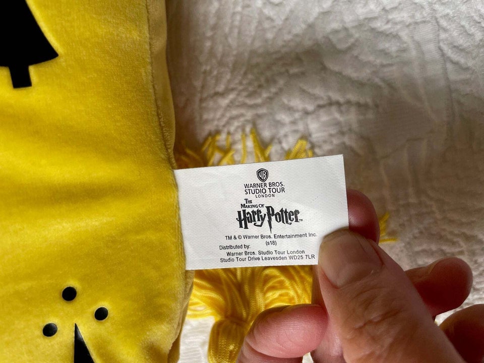 Hufflepuff pude, Harry Potter