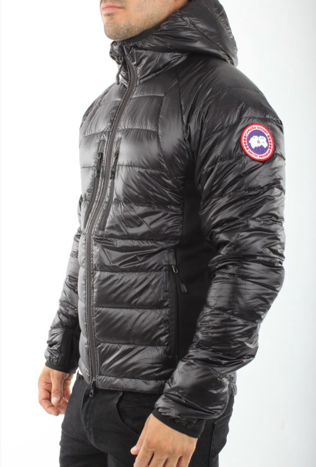 Jakke, str. XL, Canada goose