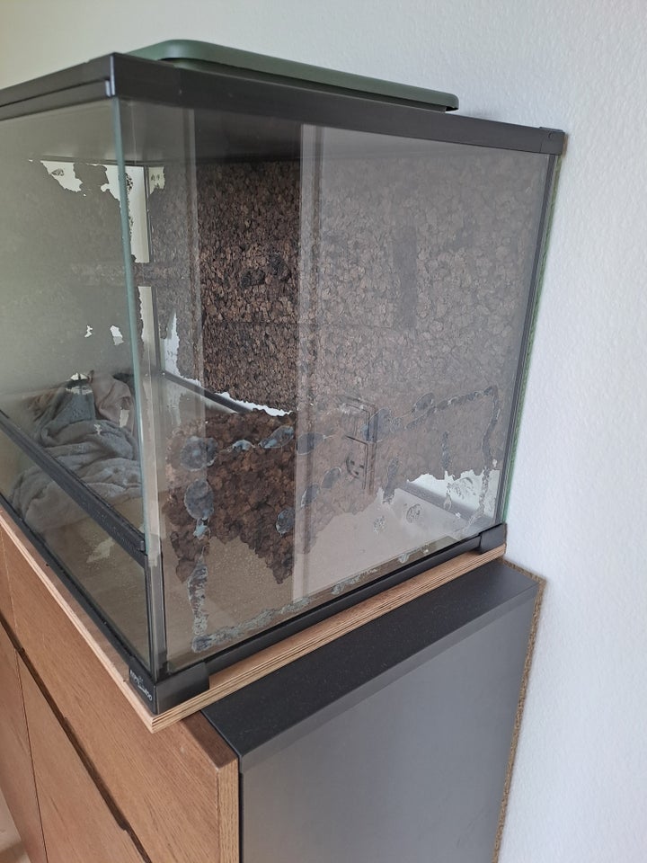 Terrarium b: 90 d: 45 h: 45