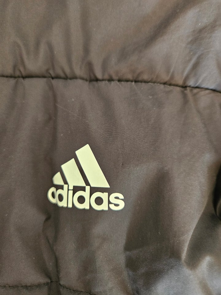 Vinterjakke Jakke Adidas