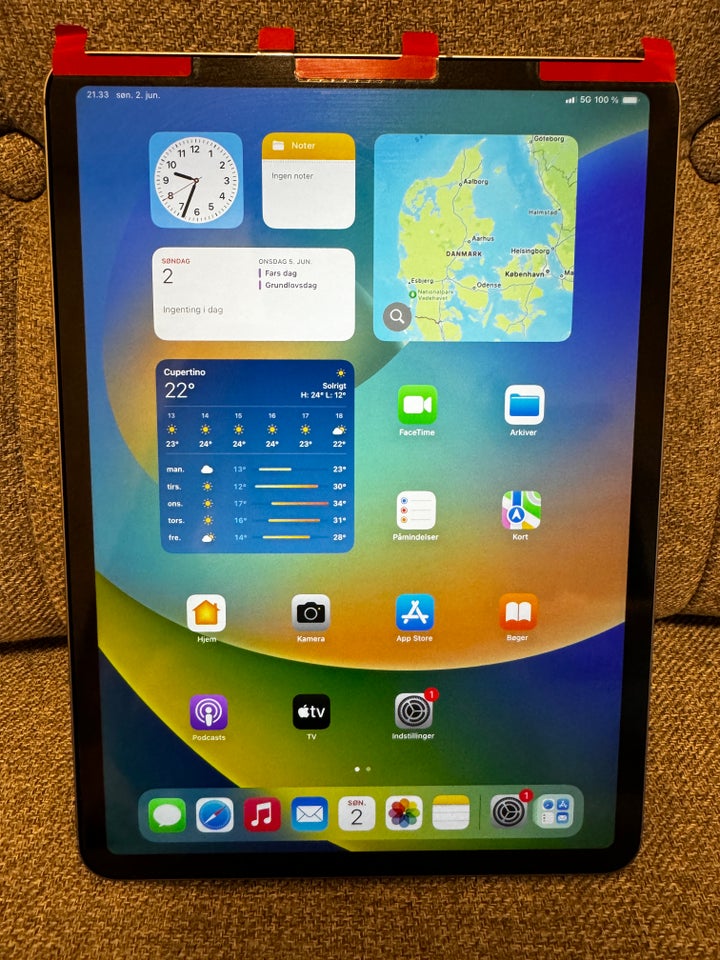 iPad Pro 256 GB Perfekt