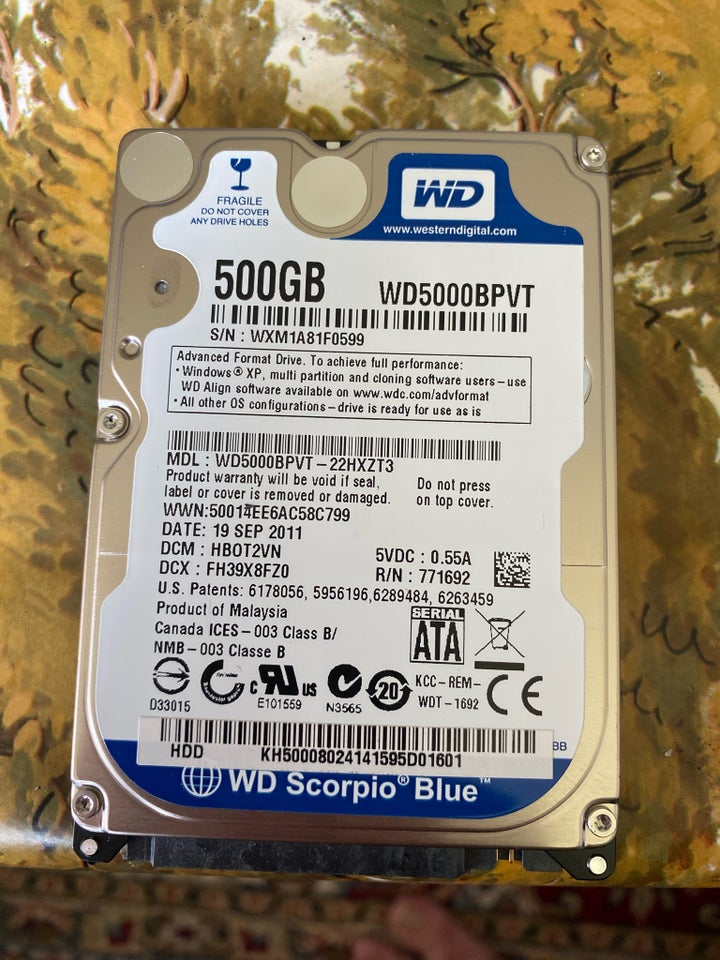 Western digital 500 GB Perfekt