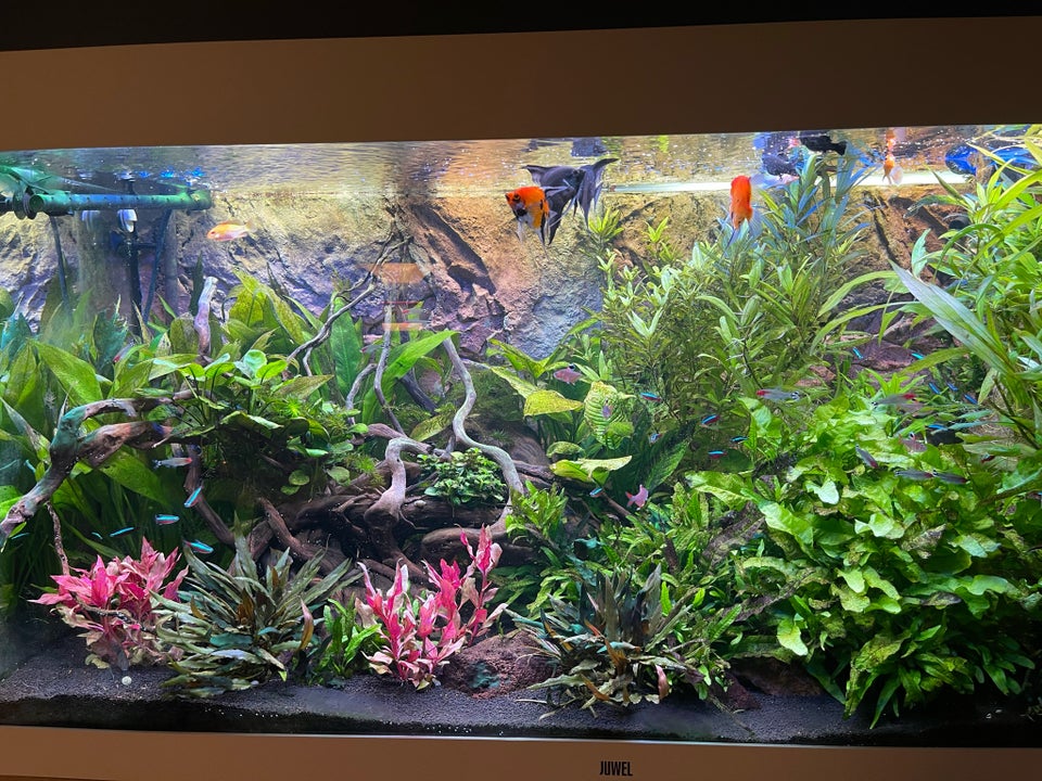 Akvarium, 350 liter