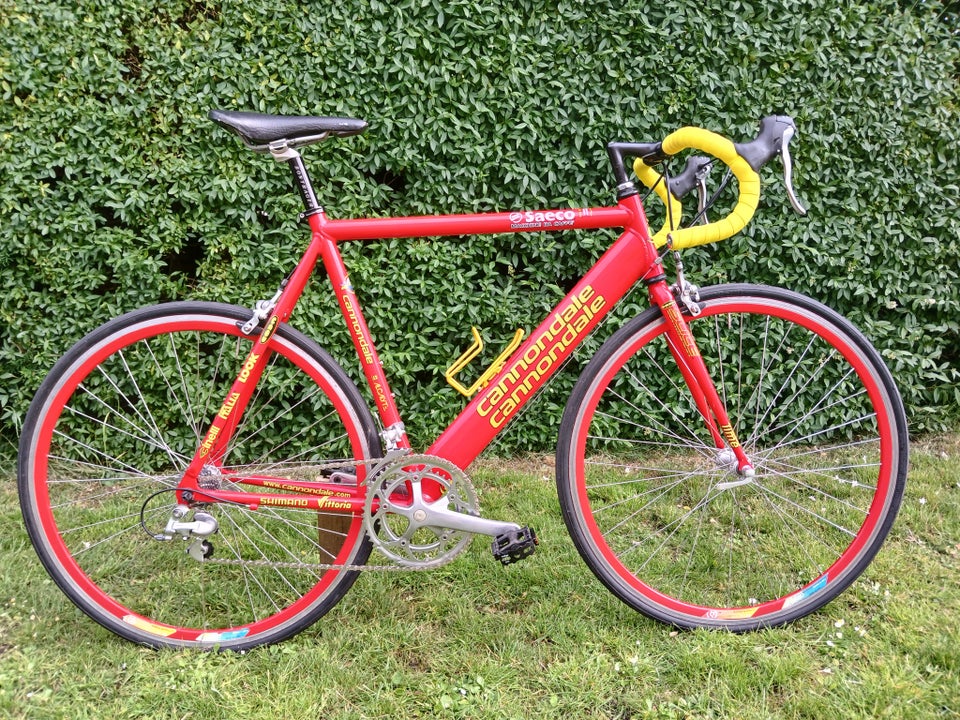 Herreracer, Cipollini, 58 cm stel