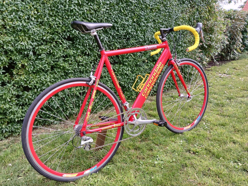 Herreracer, Cipollini, 58 cm stel