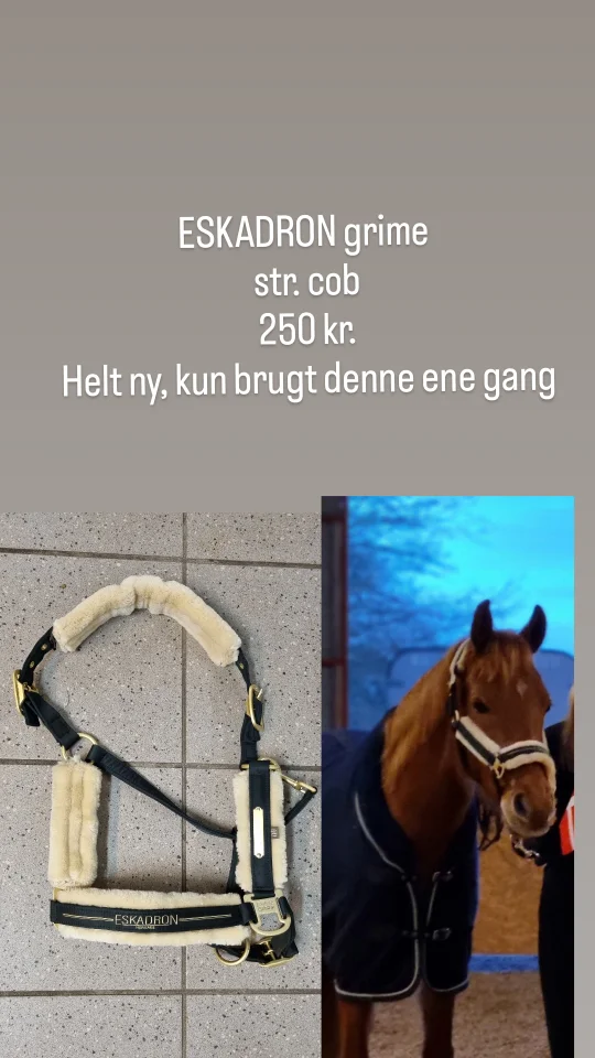 Andet, rideudstyr