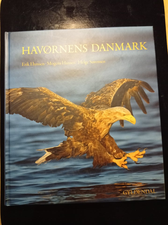 Havørnens Danmark emne: dyr