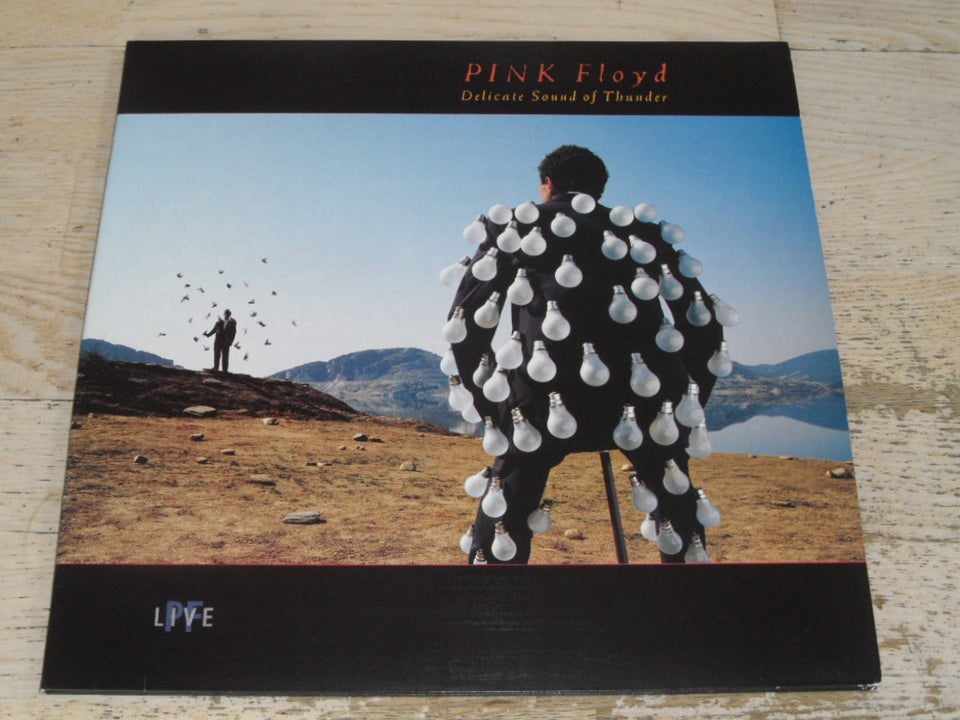 LP, PINK FLOYD, DELICAT SOUNDS OF