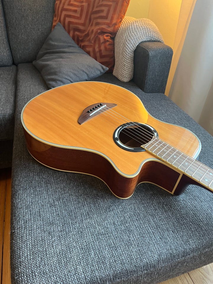 Western, Yamaha APX500III