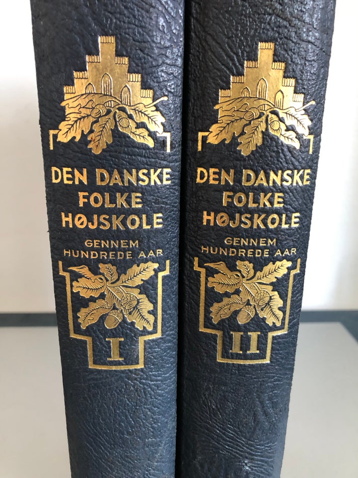 DEN DANSKE FOLKEHØJSKOLE Ernst J