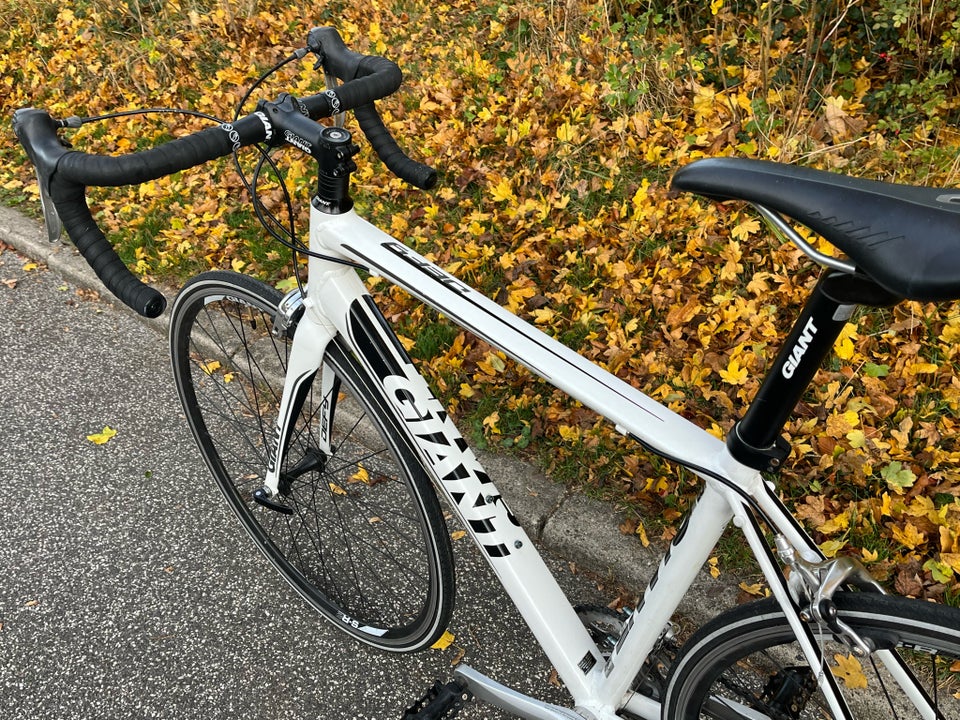 Herreracer, Giant Defy, 18 gear