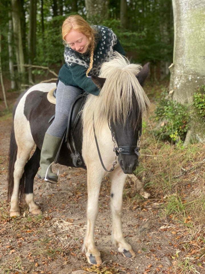 Islænder hoppe 5 år