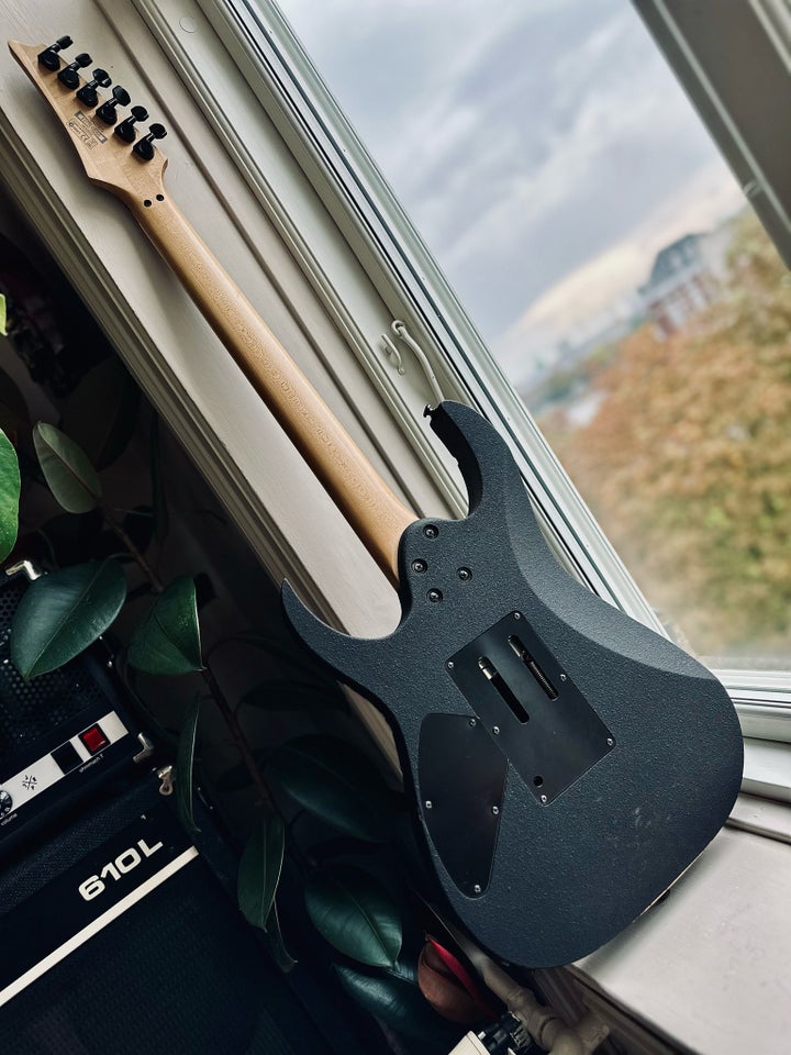 Elguitar, Ibanez RG420EG