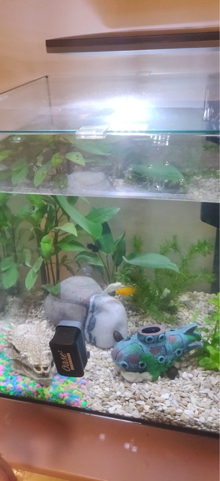 Akvarium, 60 liter, b: 40 d: 40 h: 50