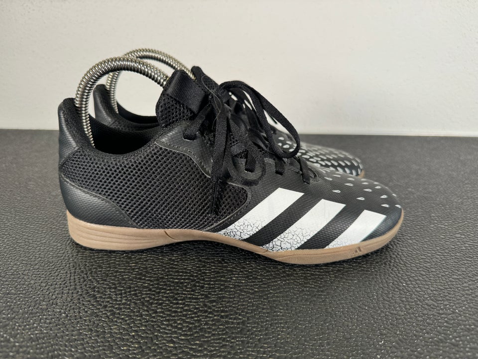 Indendørs sko Adidas Predator