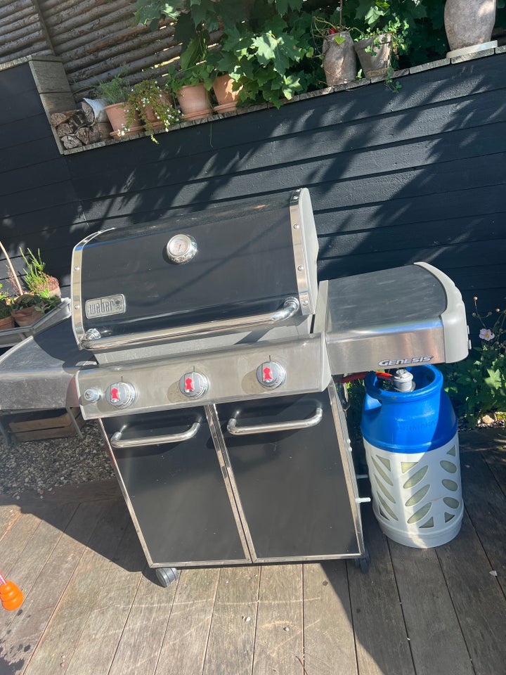 Gasgrill Weber Genisis