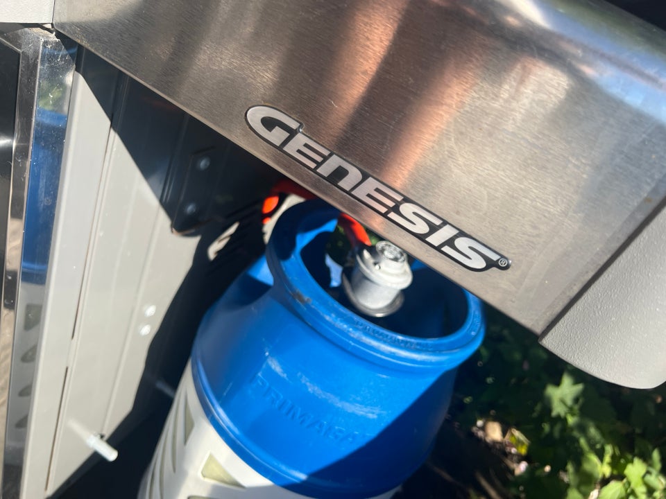 Gasgrill Weber Genisis